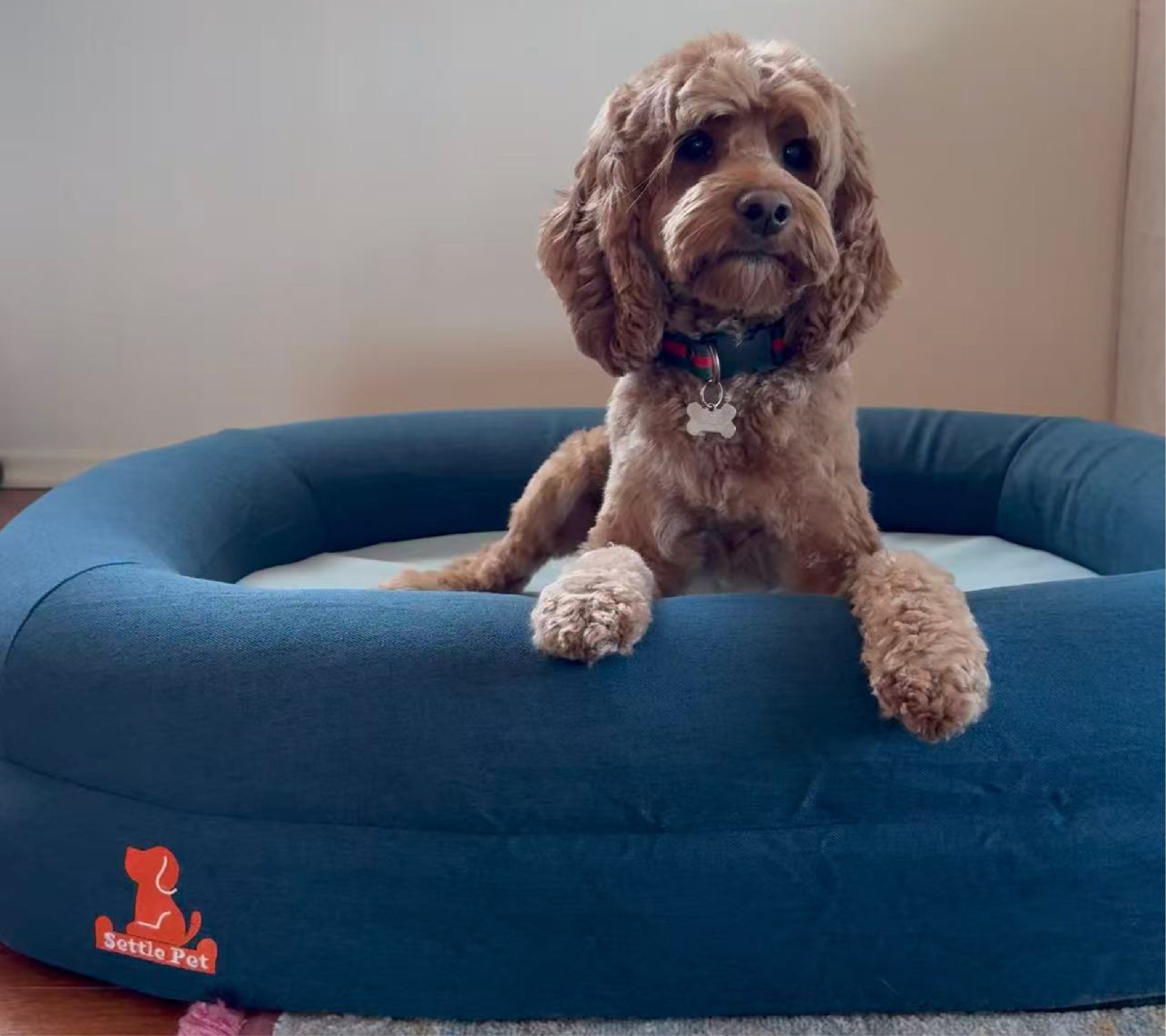 Settle Pet luxury dog beds 