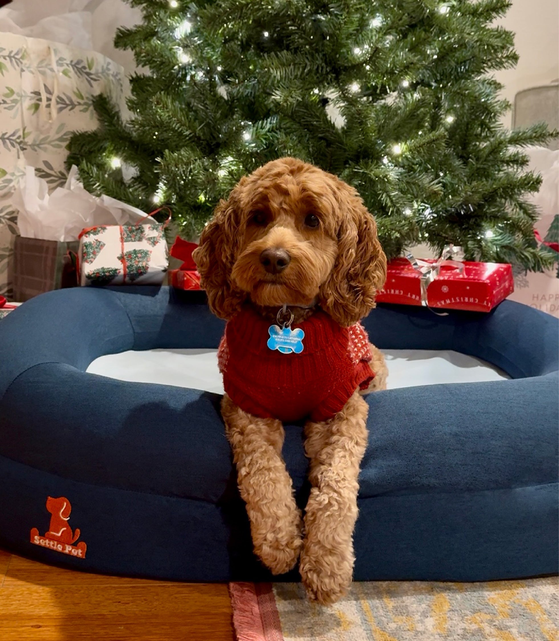 Medium Twilight Blue Settle Bed