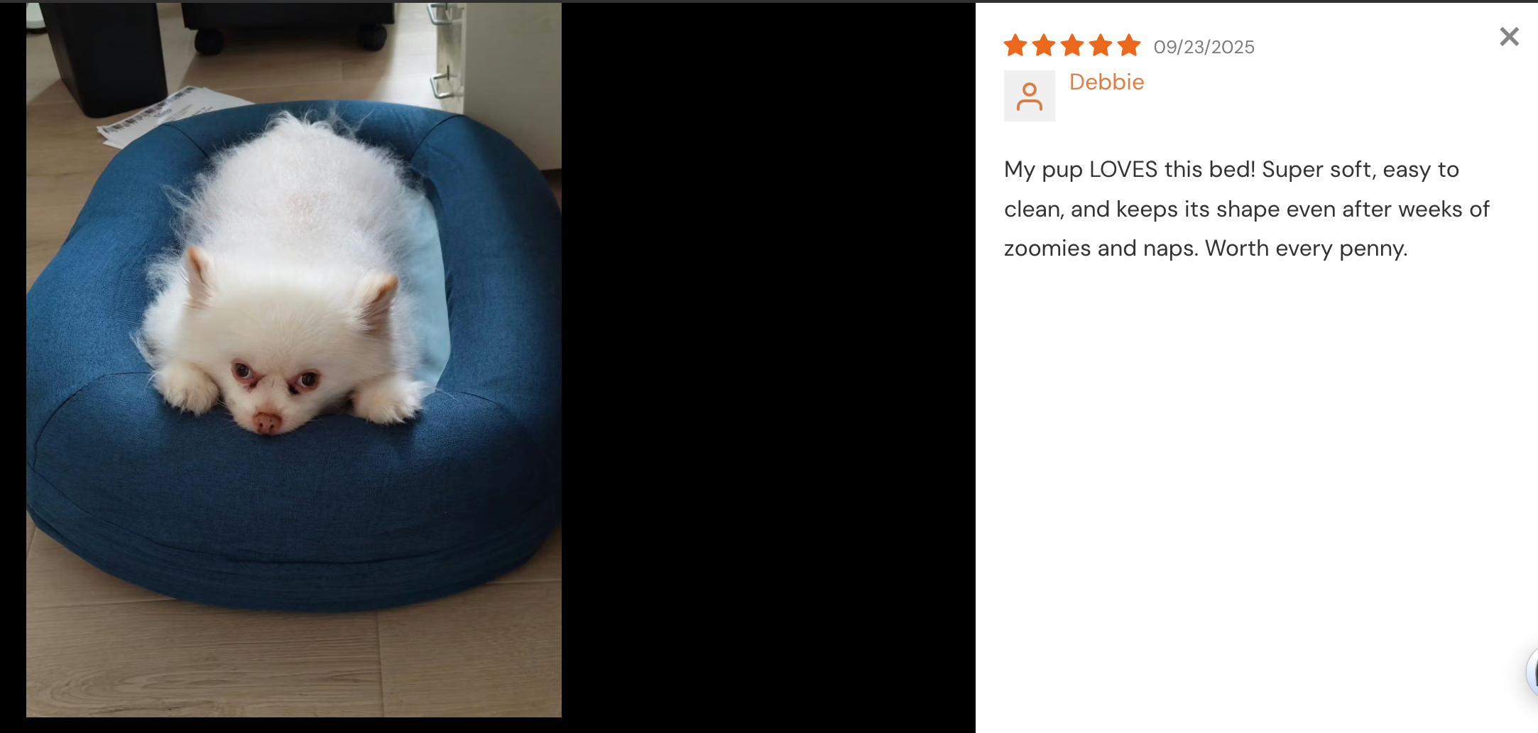 What Makes Settle Pet's Luxury Dog Beds Ideal for Medium Dogs