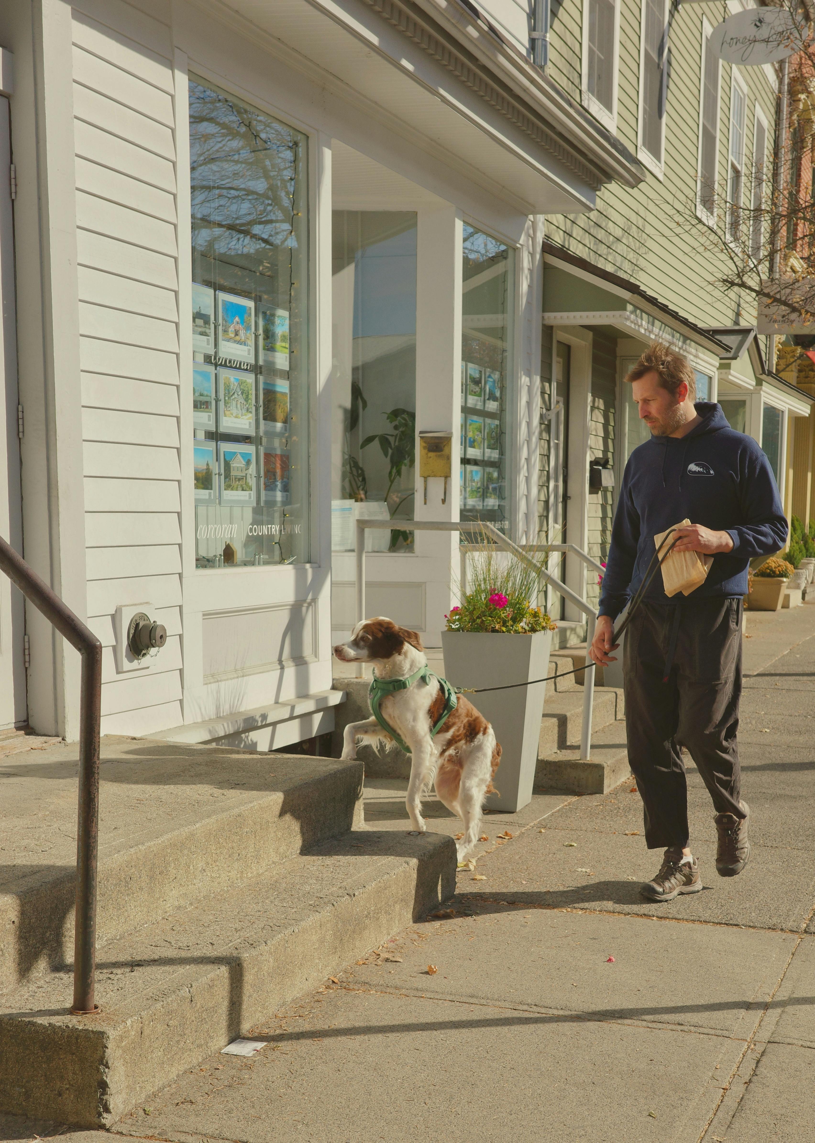 Why Do Dogs Lay on Your Feet