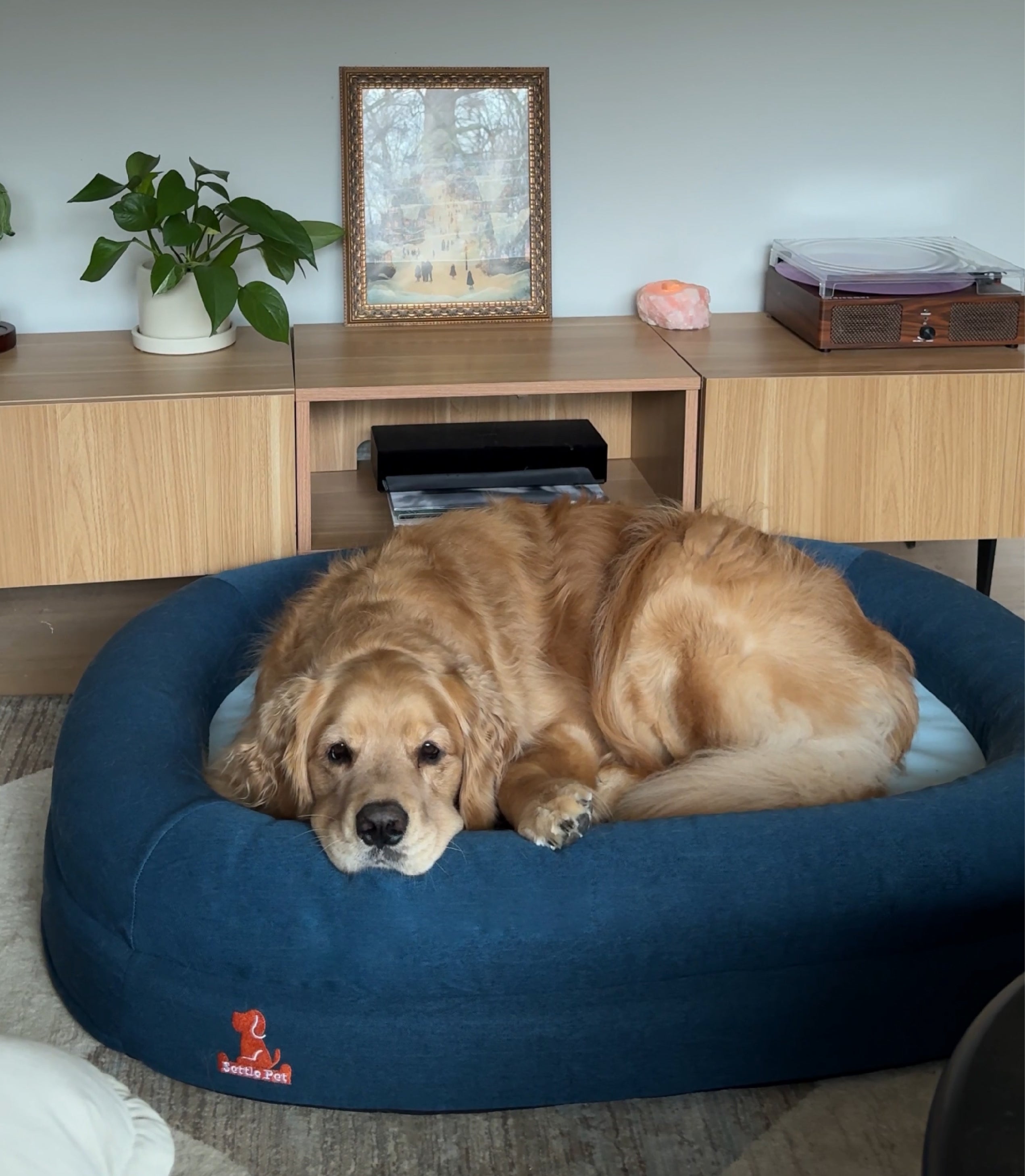 Large Twilight Blue Settle Bed