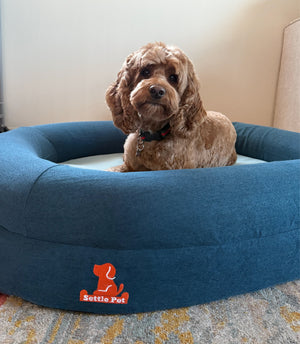 Medium Twilight Blue Settle Bed