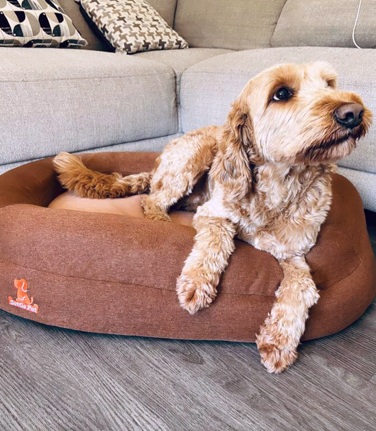 Small Cocoa Mocha Settle Bed