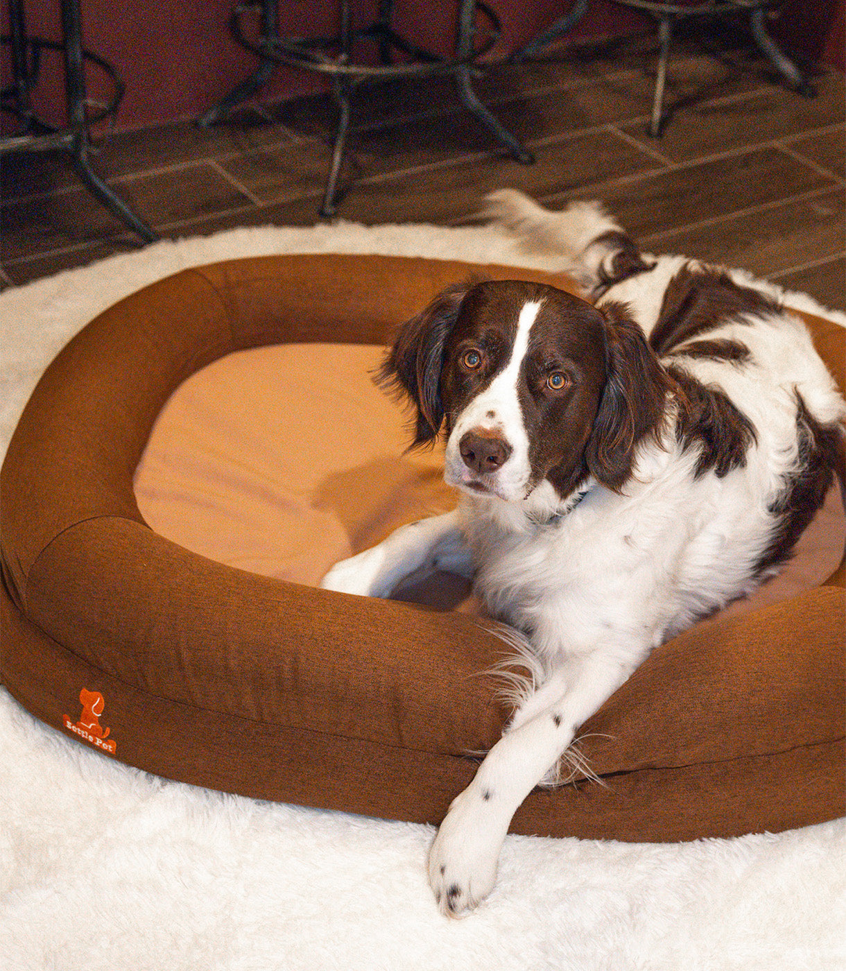 Large Cocoa Mocha Settle Bed