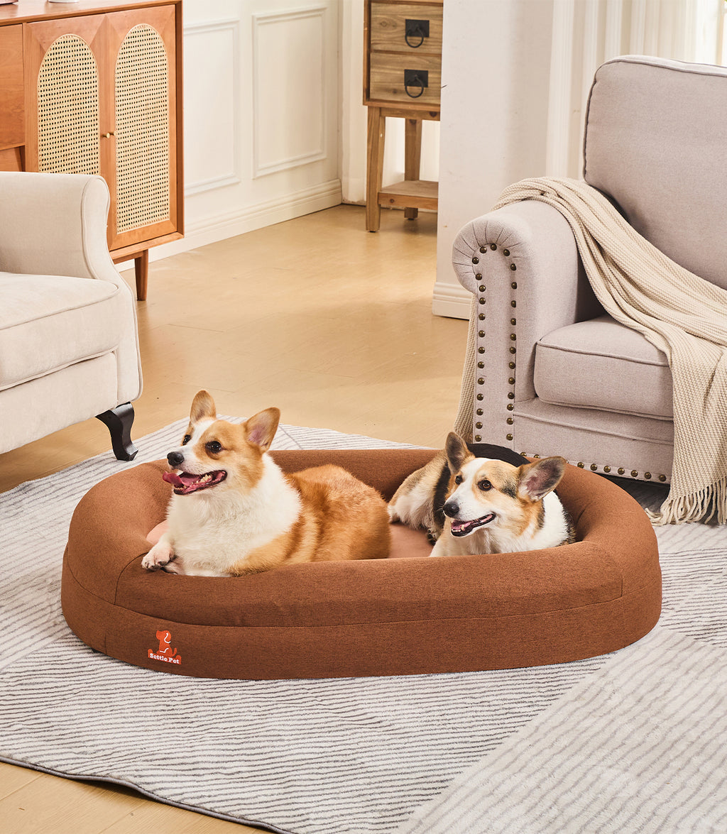 Picture of Large Cocoa Mocha Orthopedic Memory Foam Dog Bed | Settle Pet