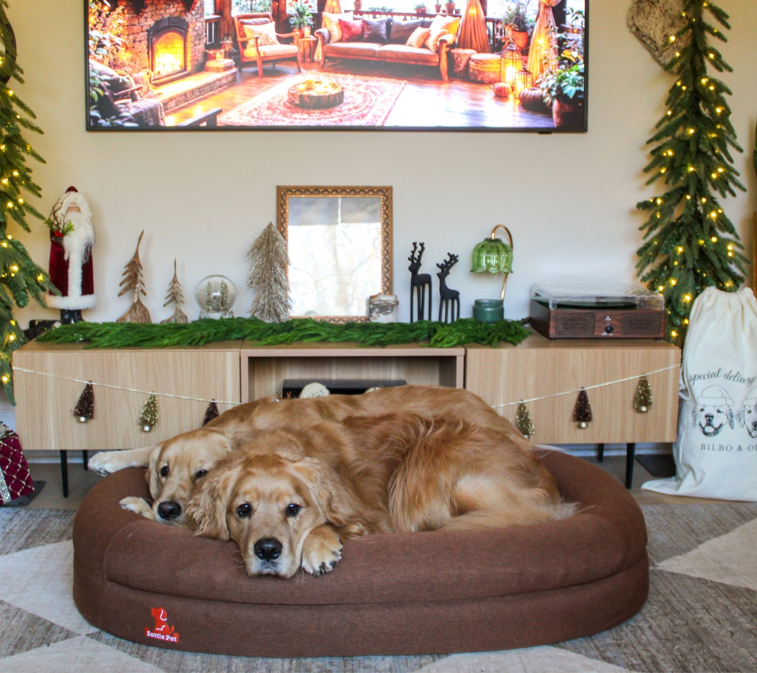 Large Dog Beds-Large Cocoa Mocha Settle Bed