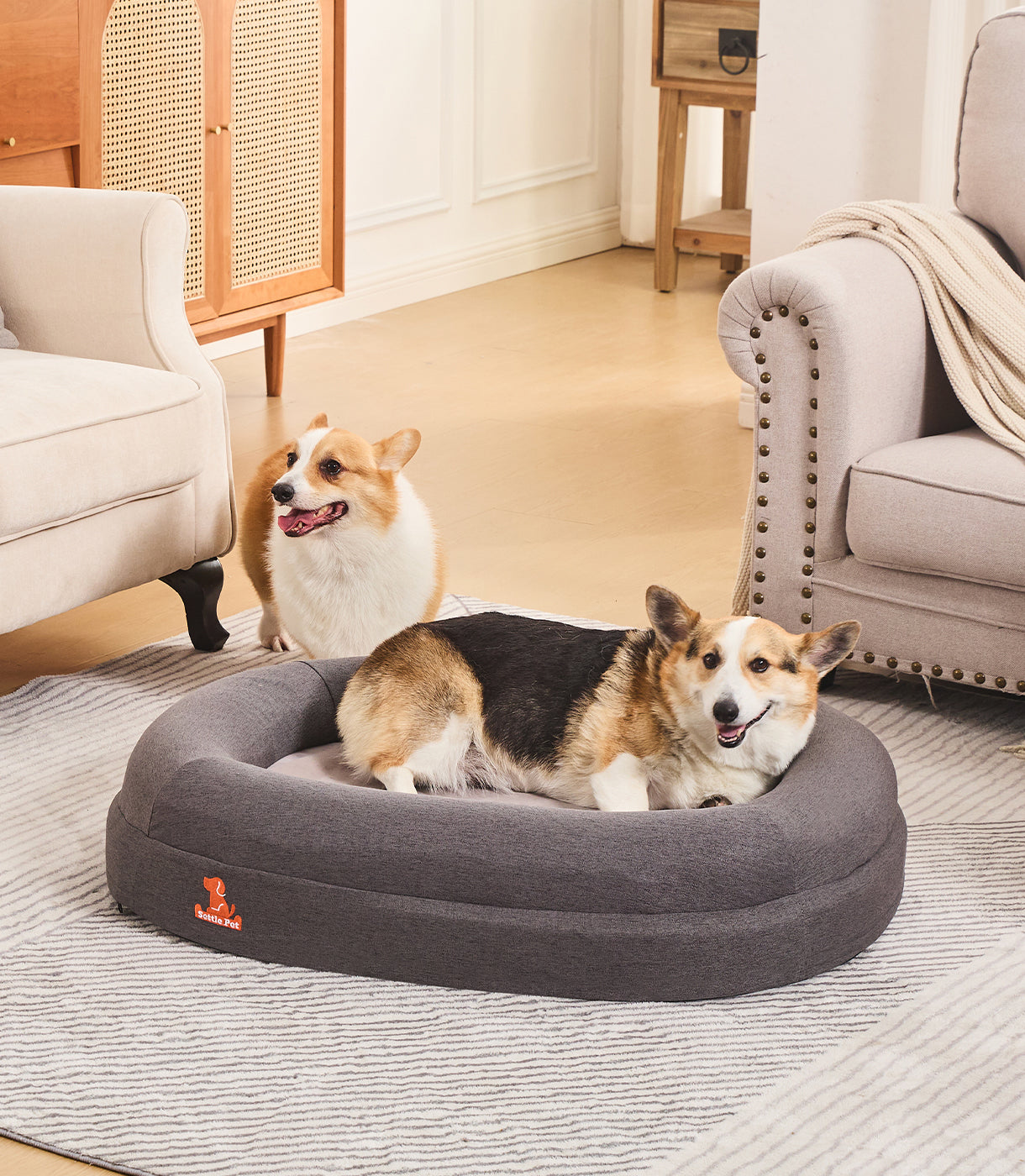 The Benefits of Changeable Dog Bed Covers for Your Pet’s Comfort and Cleanliness