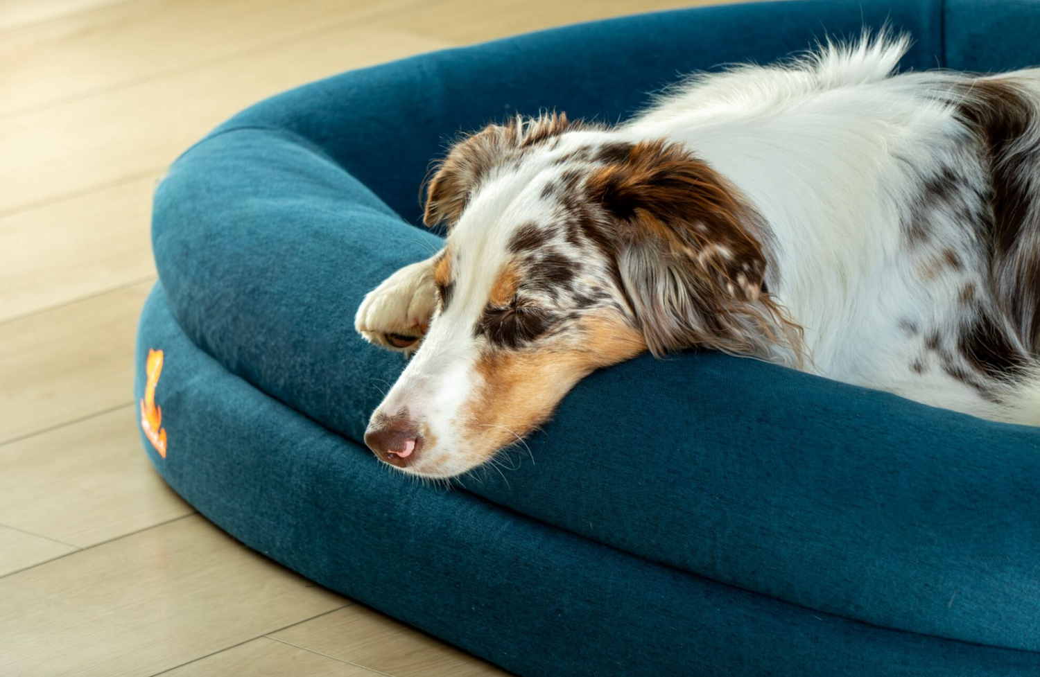Large Cocoa Mocha Settle Bed
