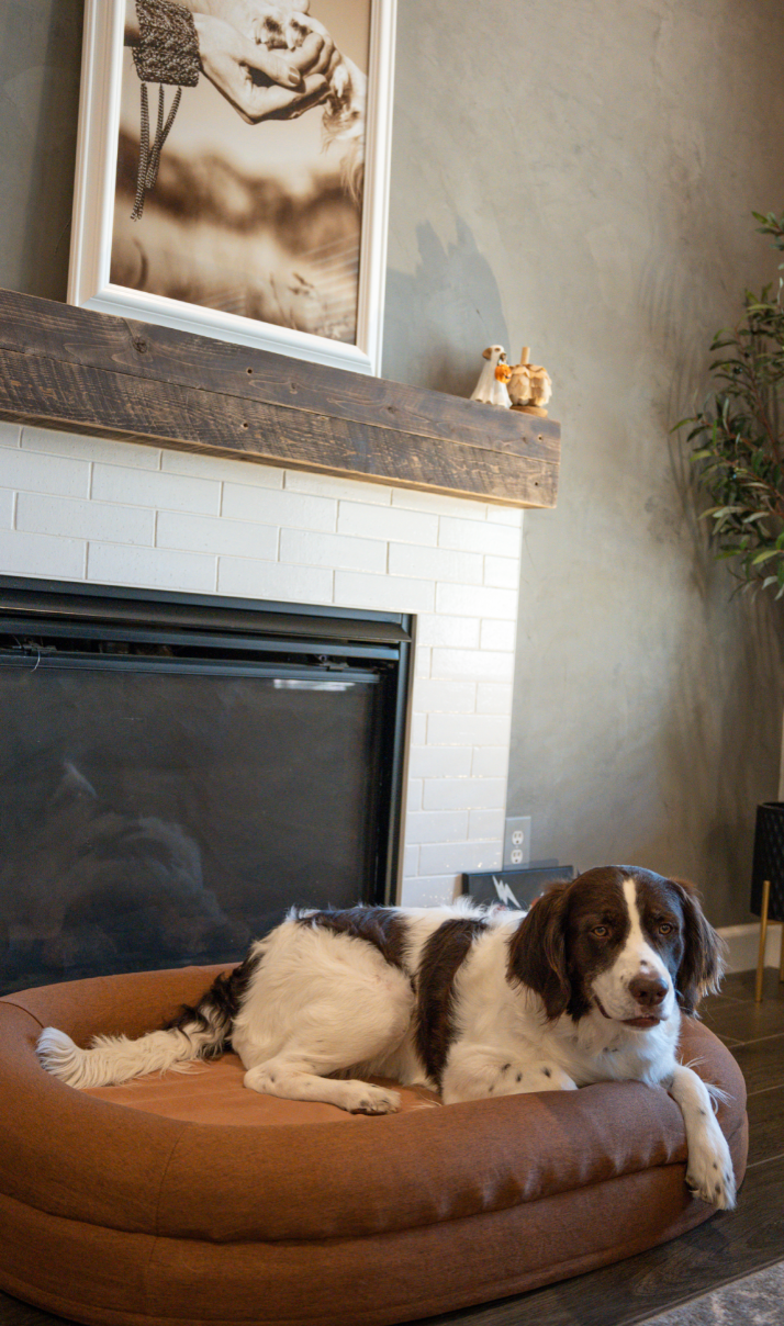 Final Thoughts from  Family to Yours