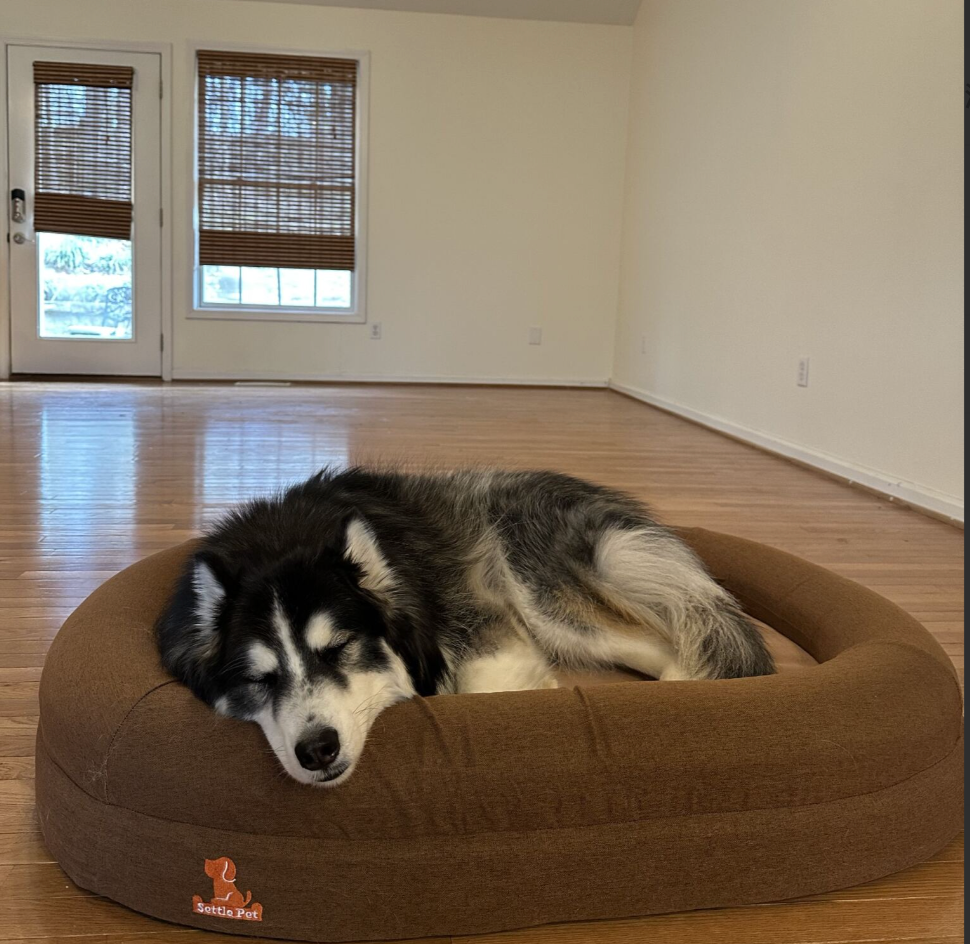 2. Common Triggers: Why Puppies Develop Hiccups