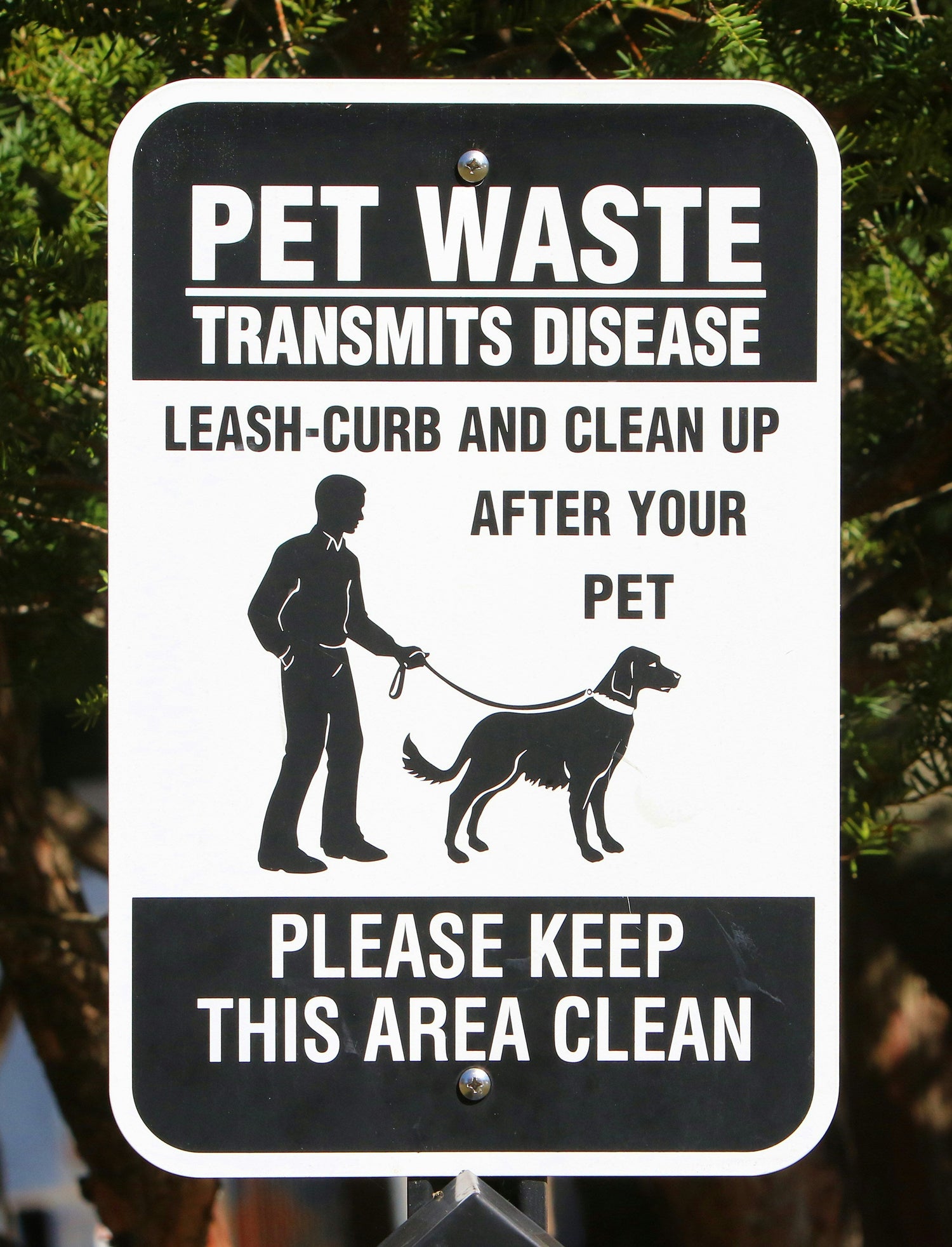 what to do with pets during bed bug treatment