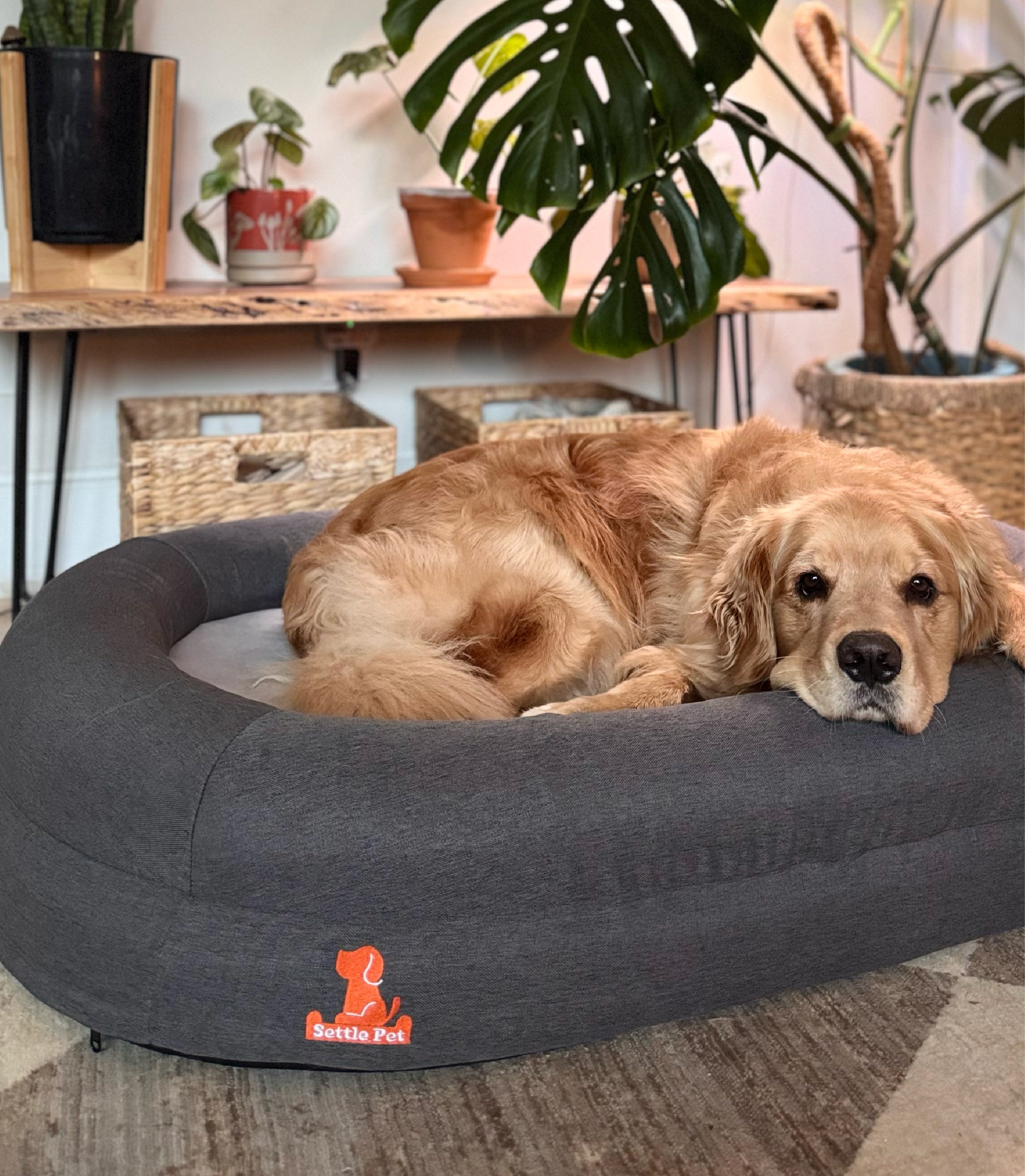 Large Cloud Gray Settle Bed