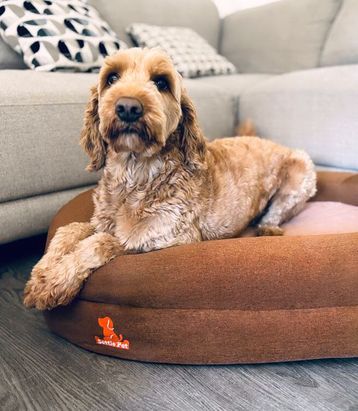 Small Cocoa Mocha Settle Bed