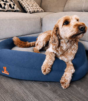 Small Twilight Blue Settle Bed