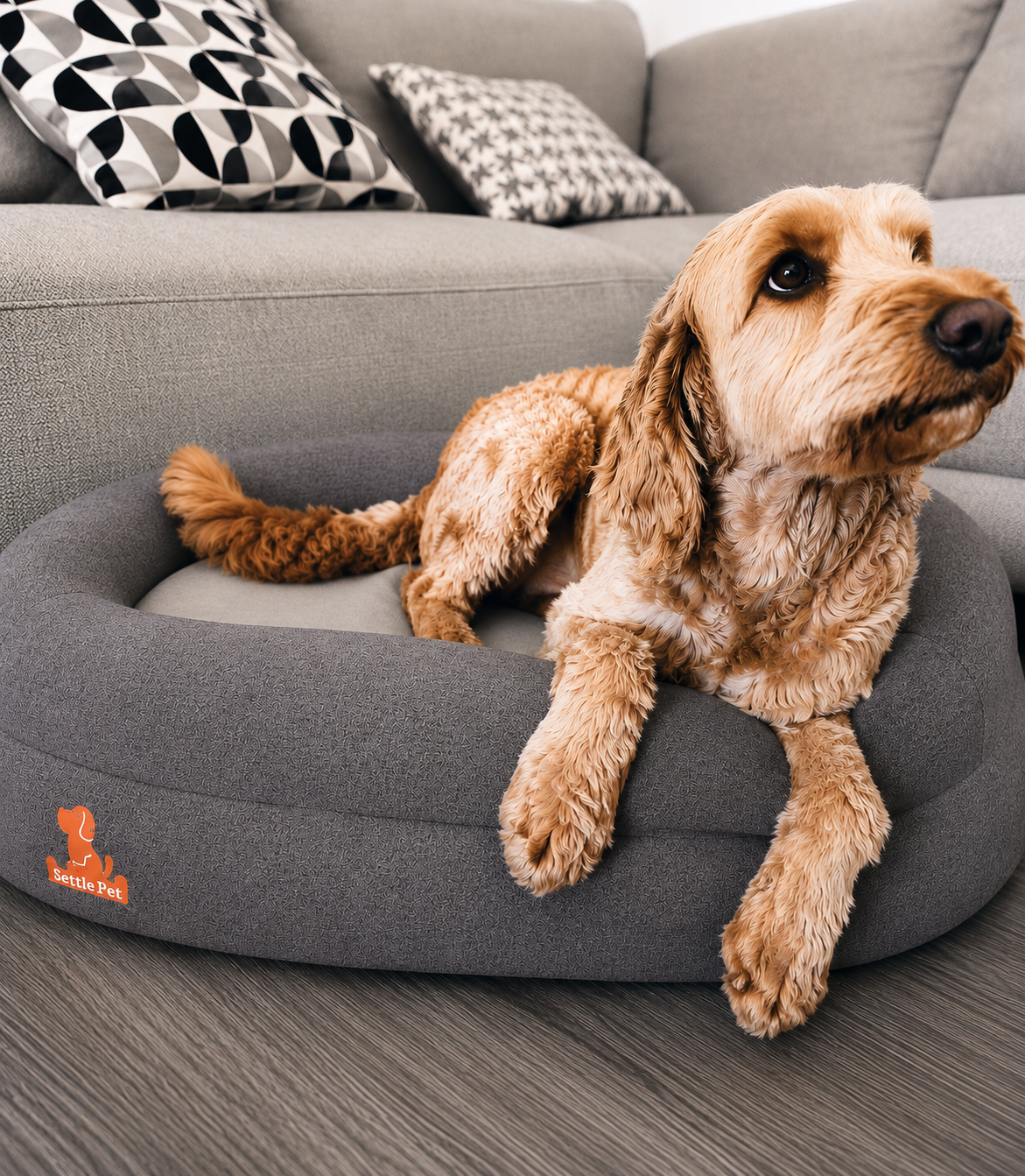 Small Cloud Gray Settle Bed