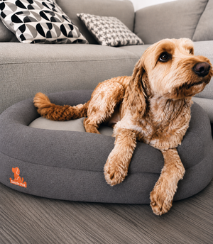 Small Cloud Gray Settle Bed