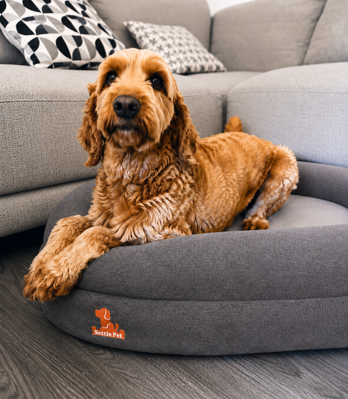 Small Cloud Gray Settle Bed