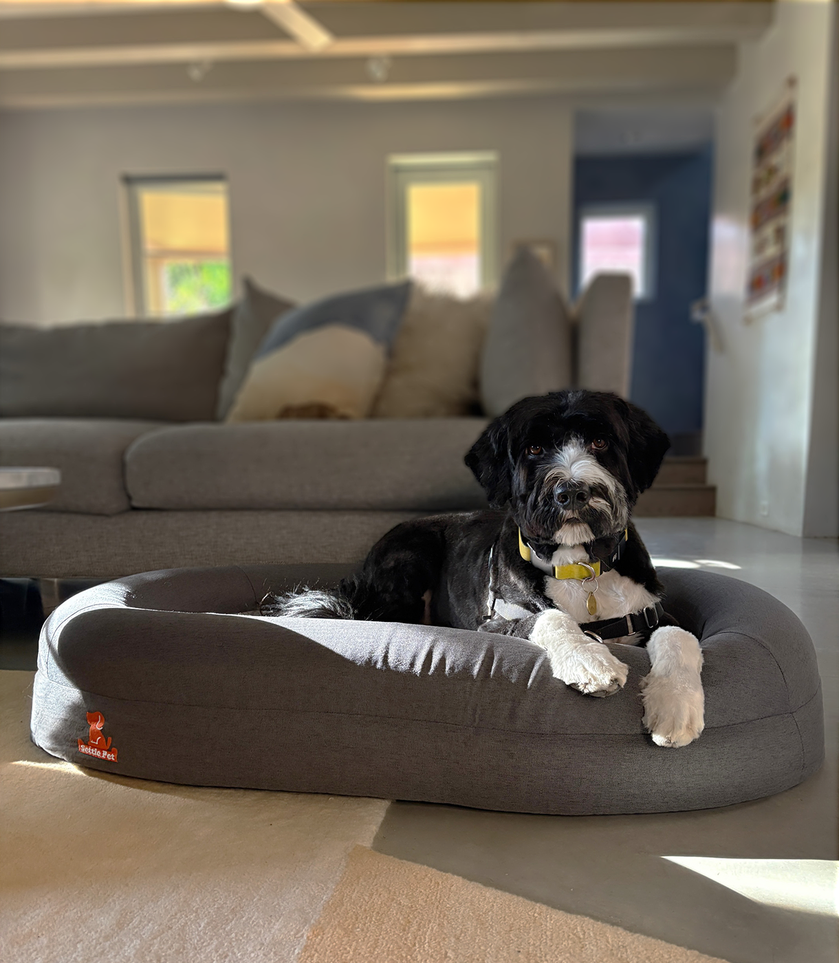 Large Cloud Gray Settle Bed